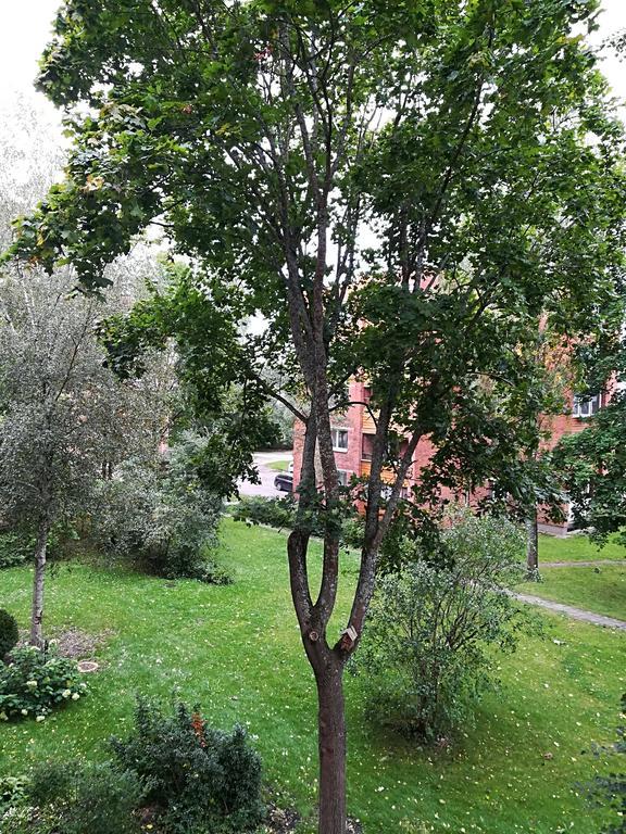 Amber Apartamentai Druskininkai Exteriér fotografie