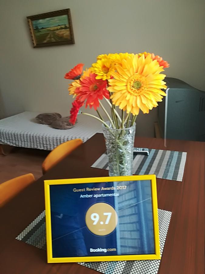 Amber Apartamentai Druskininkai Exteriér fotografie