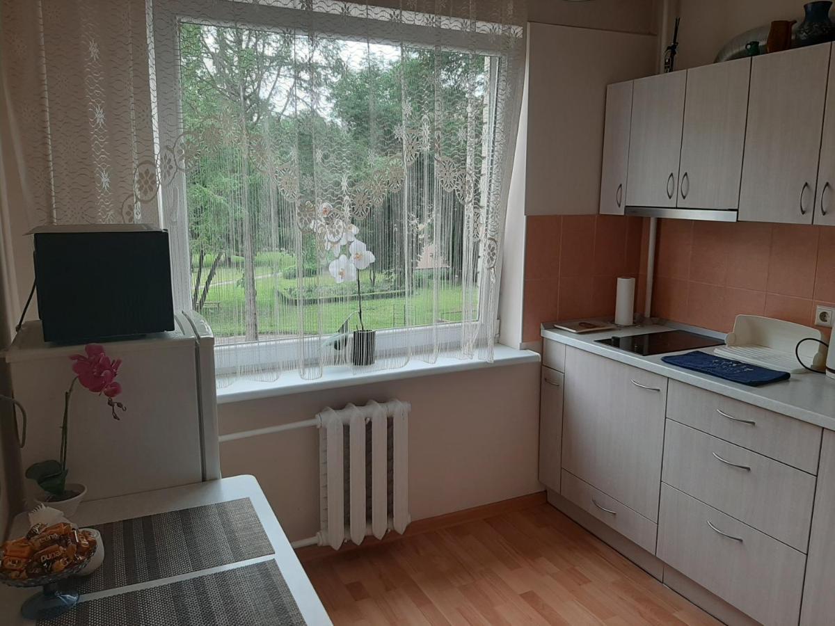 Amber Apartamentai Druskininkai Exteriér fotografie
